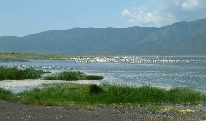 Lago Bogoria, en el Valle del Rift, Tanzania. Foto: Wikimedia Commons.